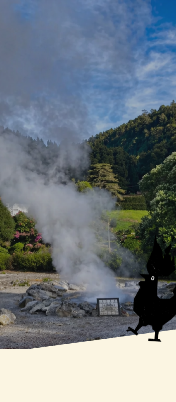 Le paysage des vignobles volcaniques de l'île de Pico, à la fois témoin du patrimoine viticole et observatoire des changements environnementaux