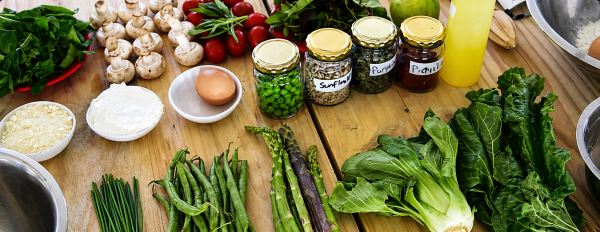 Vegetarian Traveler