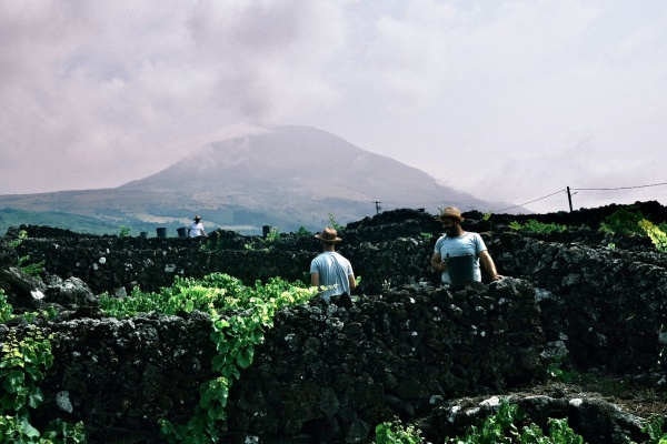 Azores island
