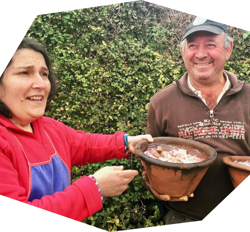 Azores food an wine guide