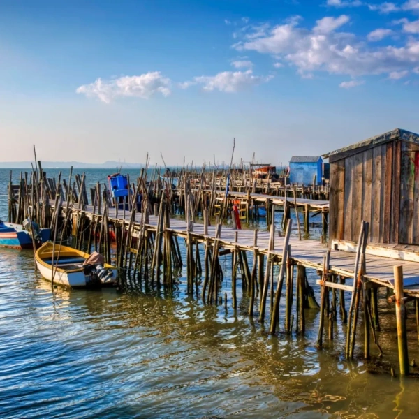 carrasqueira comporta setúbal