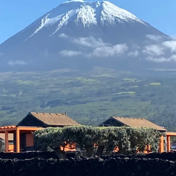 tour pico dos Açores
