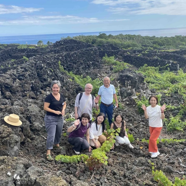 Harvest in Pico Island with locals