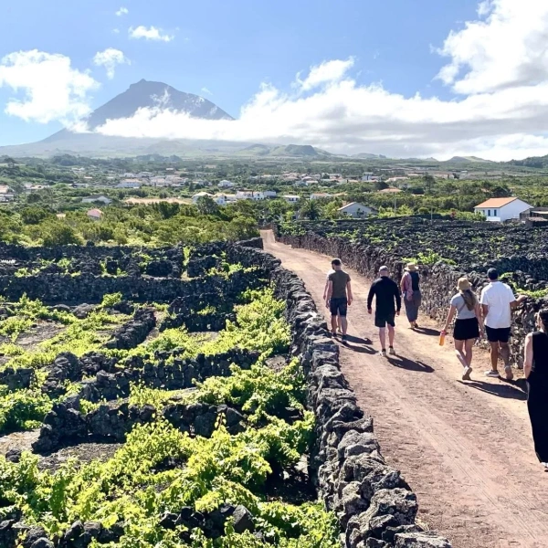 a walk through in Pico