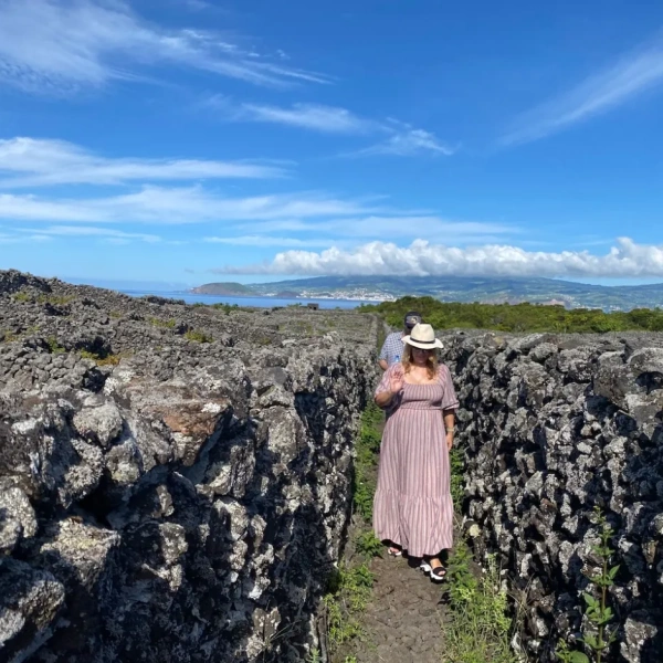 Pico Wine Experience