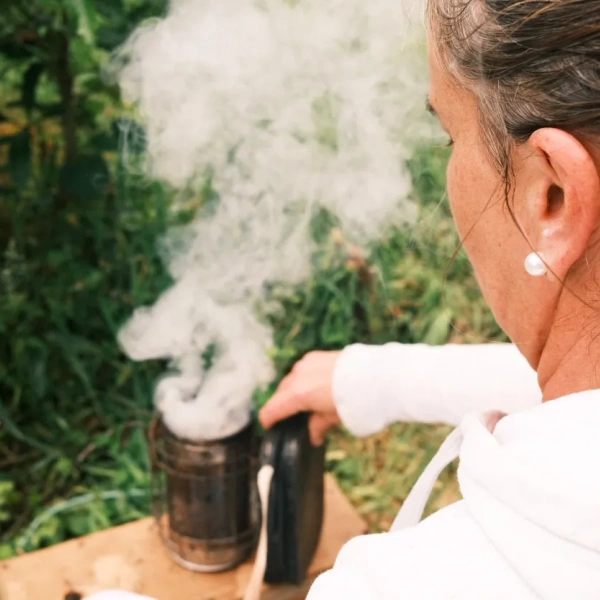 Beehive visit azores