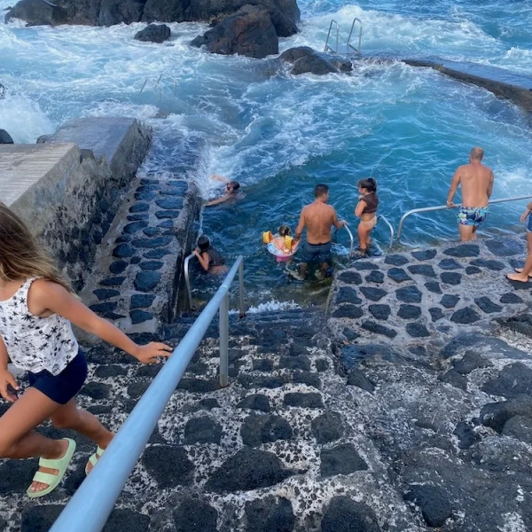 azores honey farm experience