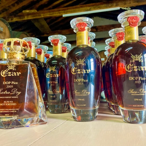 Catas de vino Pico del zar