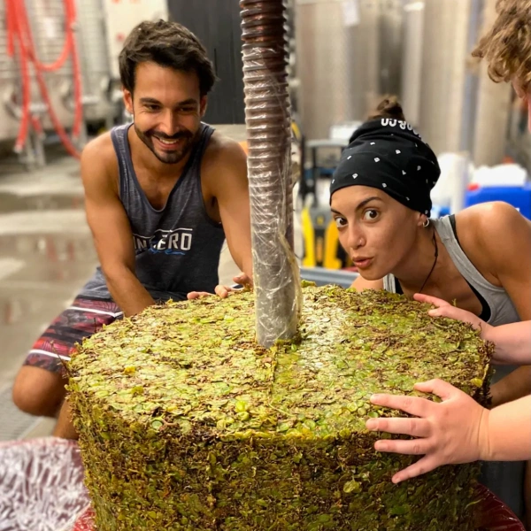 Harvest eat with Locals