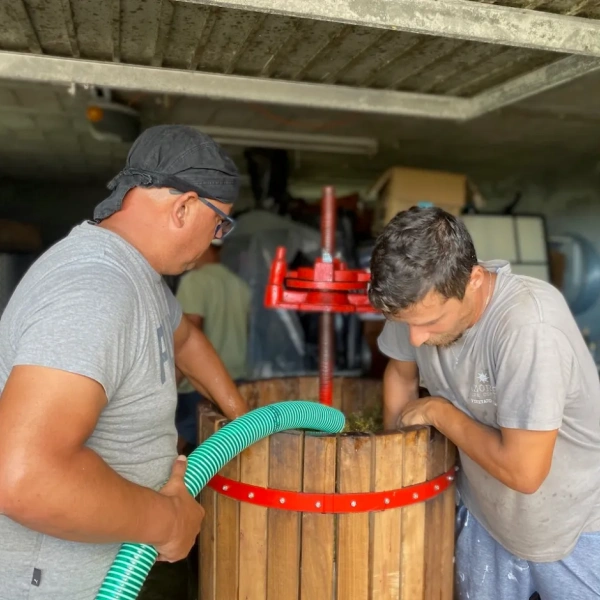 Pico harvest Lunch locals