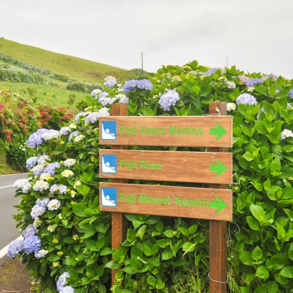 Ceinture de Sao Jorge aux Açores