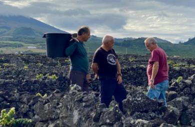 accès exclusif à des trésors cachés