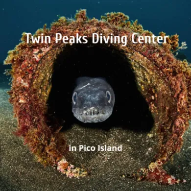 Twin Peaks Diving Pico