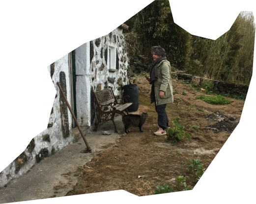 portuguese sweet bread recipe easter