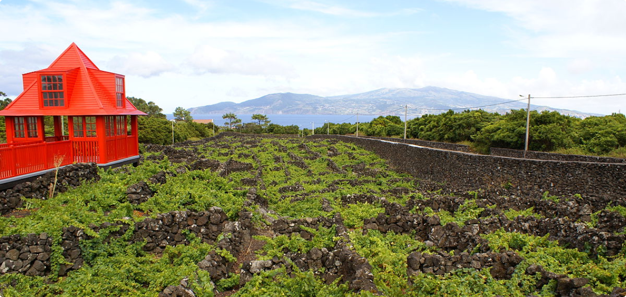 Tasting at the Czar Winery