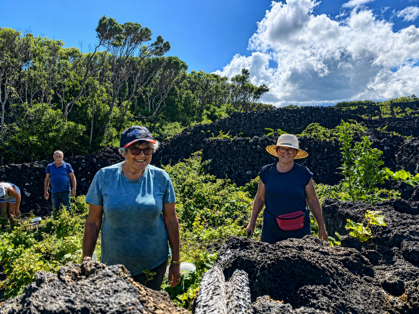 Harvest Experience with locals